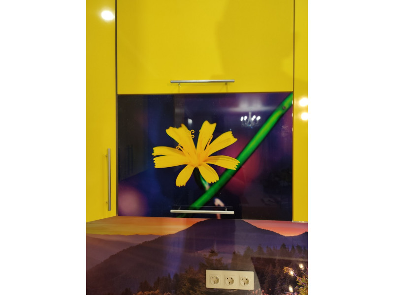 КУХНЯ Dandelion